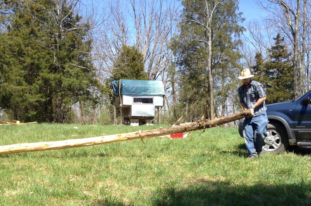 Moving a cedar tree to prepare it for cordwood masonry construction.