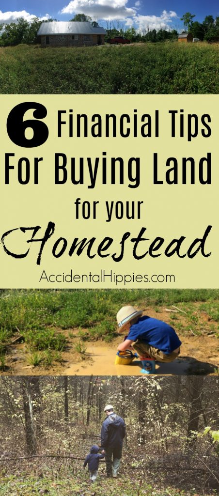 6 Financial Tips for Buying Land for Your Homestead - Accidental Hippies