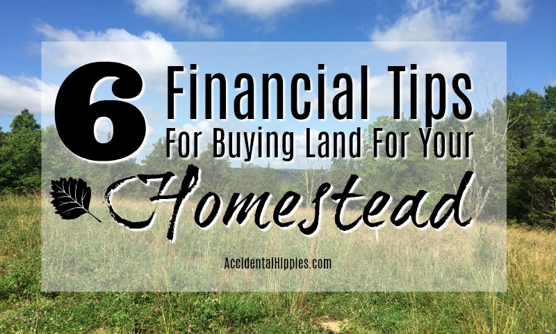 Our 6 biggest financial lessons we learned while buying land to build our off grid homestead