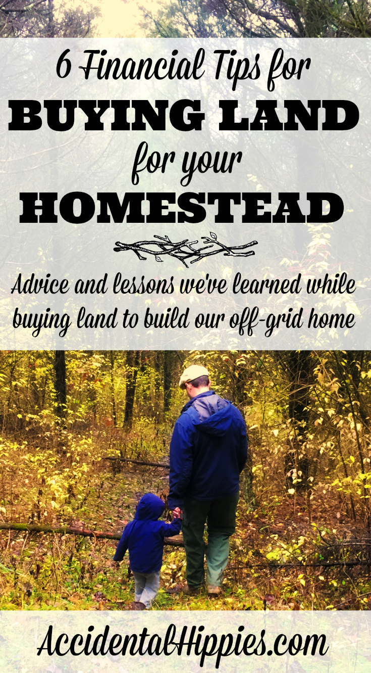 6 Financial Tips for Buying Land for Your Homestead - Accidental Hippies