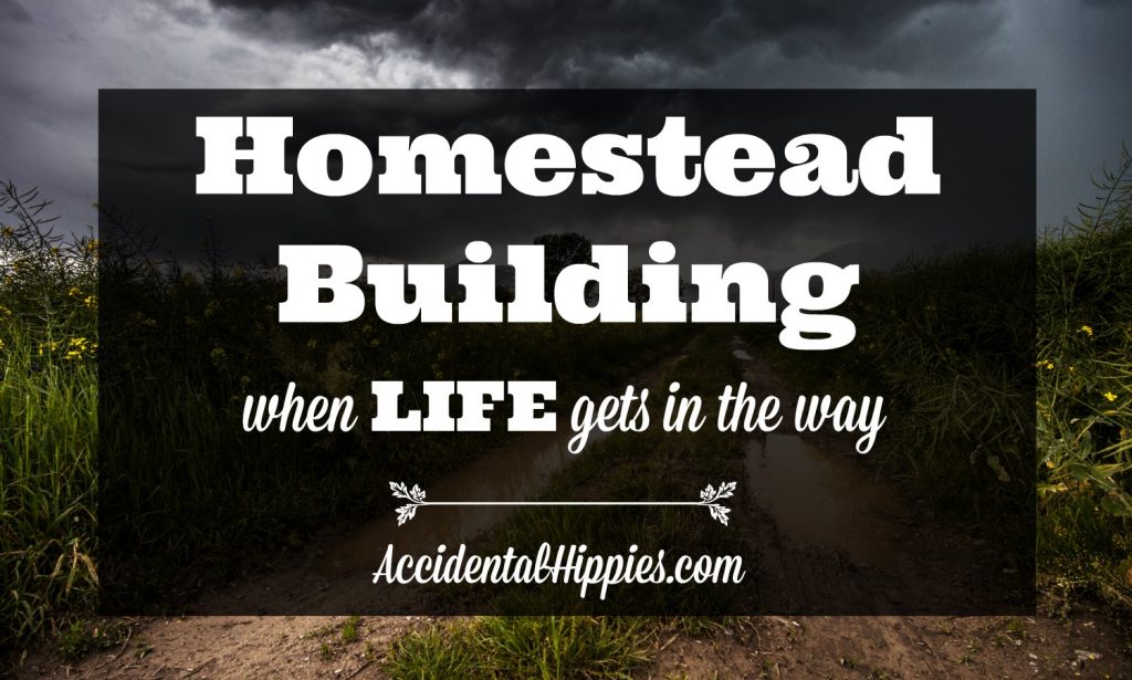 If you are looking at building your own house one day, or if you want to start a homestead but don't know if you can do it when you and your partner both have to work, what are some of the realities of such a situation and how can you deal with it? Here's what we're doing to make it work. #homesteading #buildahouse