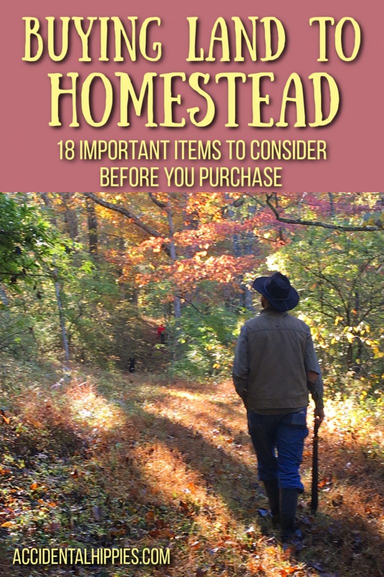 Buying Homestead Land: 18 Items to Consider Before You Purchase