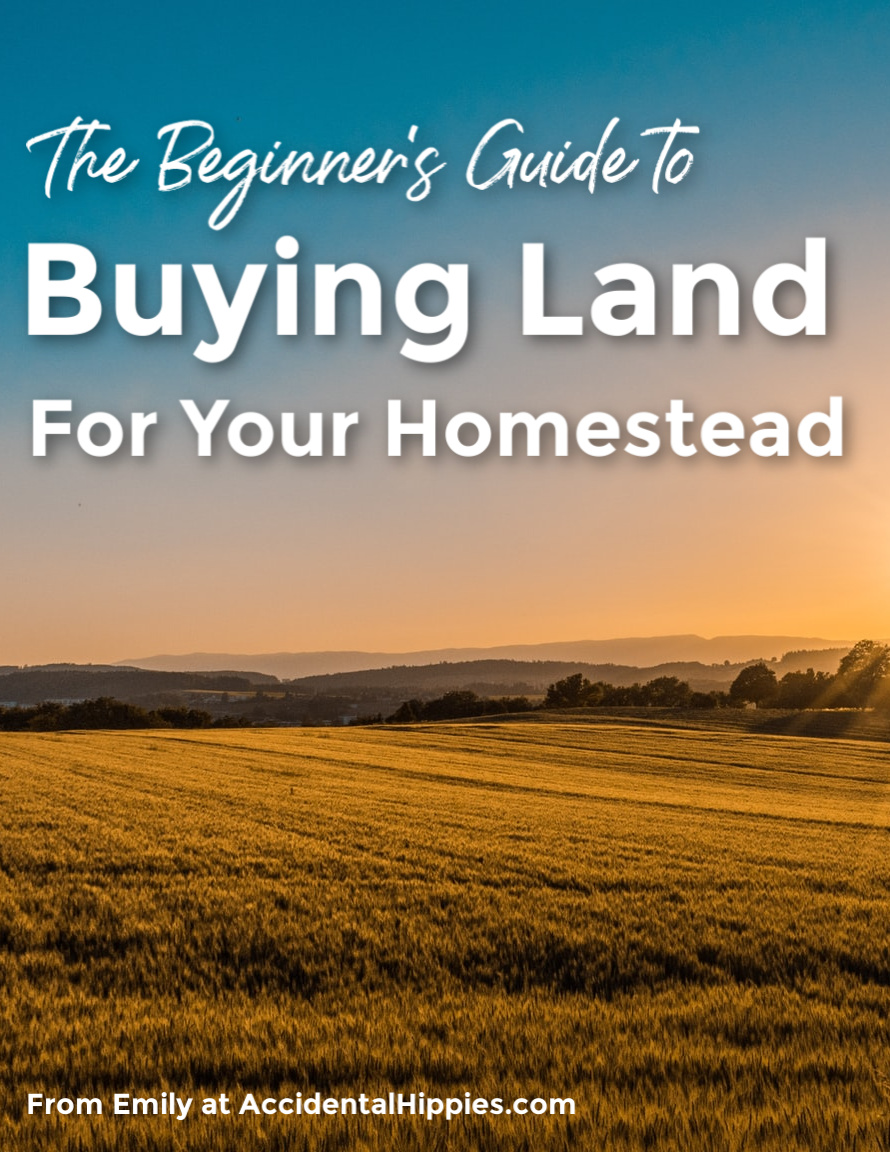 Text: Beginner's Guide to Buying Land for Your Homestead, image of rolling fields with a blue and orange sunset