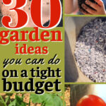 Text: 30 garden ideas you can do on a tight budget Pictures: collage showing green leaves, seedlings, and bucket gardening
