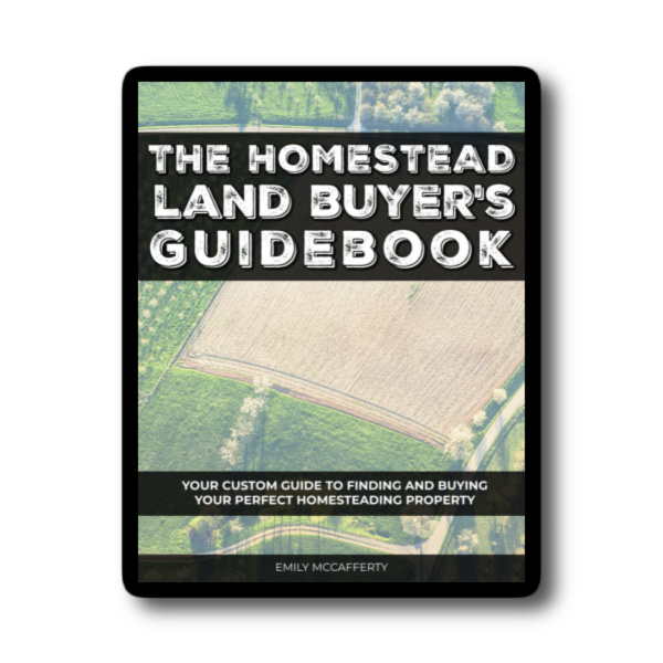 The Homestead Land Buyer's Guidebook