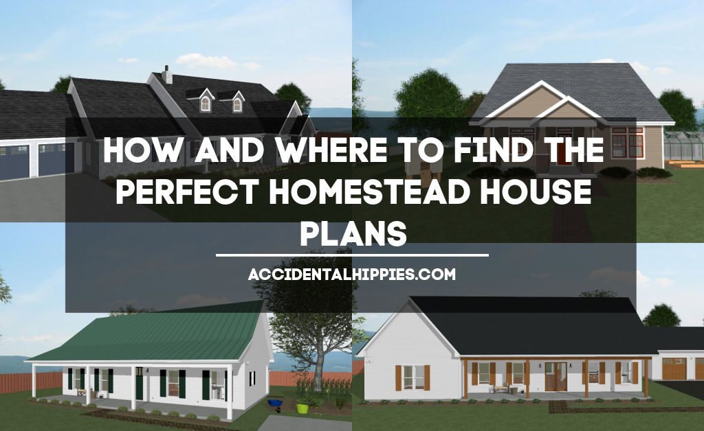 Text: How and Where to Find the Perfect Homestead House Plans by AccidentalHippies.com Image: collage of four houses