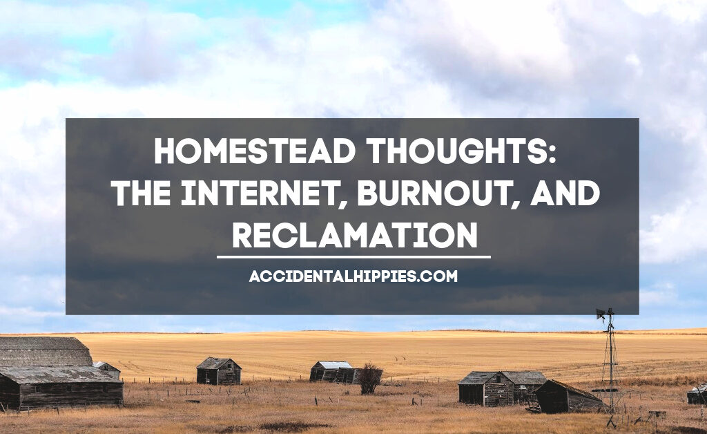 Text: Homestead Thoughts: The Internet, Burnout, and Reclamation - AccidentalHippies.com