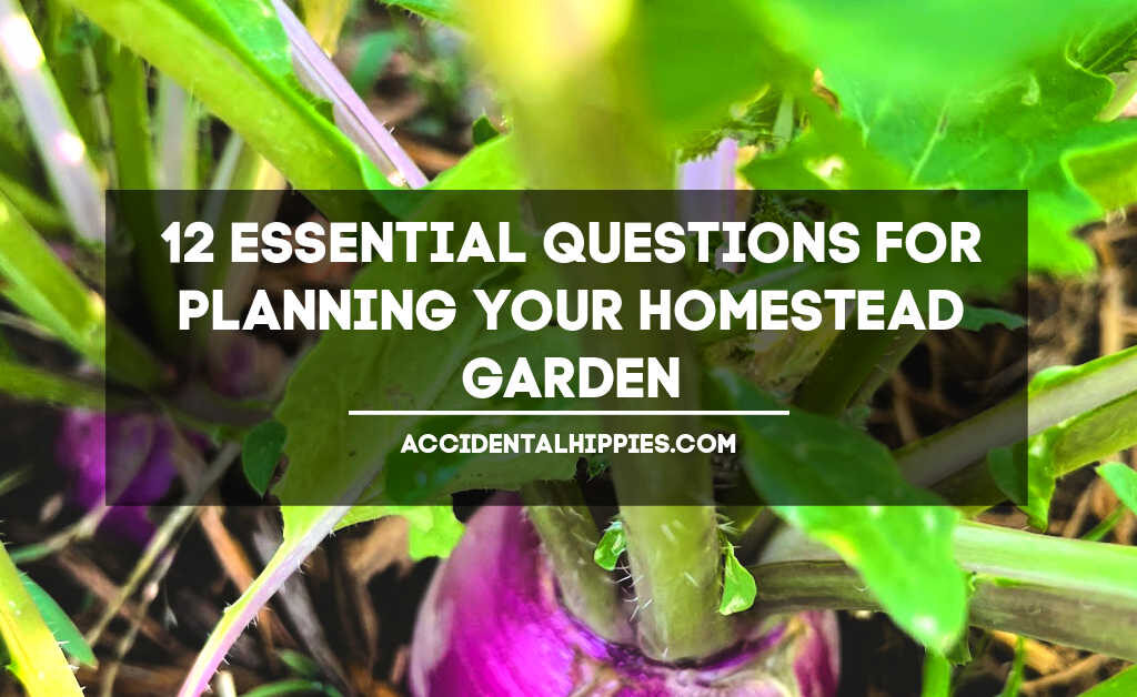 12 essential questions for planning your homestead garden, image of a turnip growing in soil