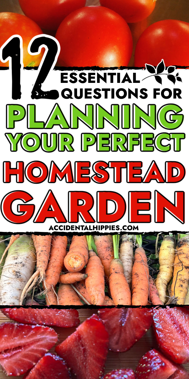 12 essential questions for planning your perfect homestead garden, images top to bottom: cherry tomatoes, carrots, and cut strawberries