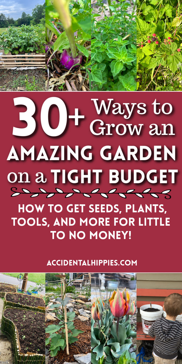 Image: collage of vegetables and flowers in the garden Text: 30+ Ways to Grow an Amazing Garden on a Tight Budget: How to get seeds, plants, tools, and more for little to no money!