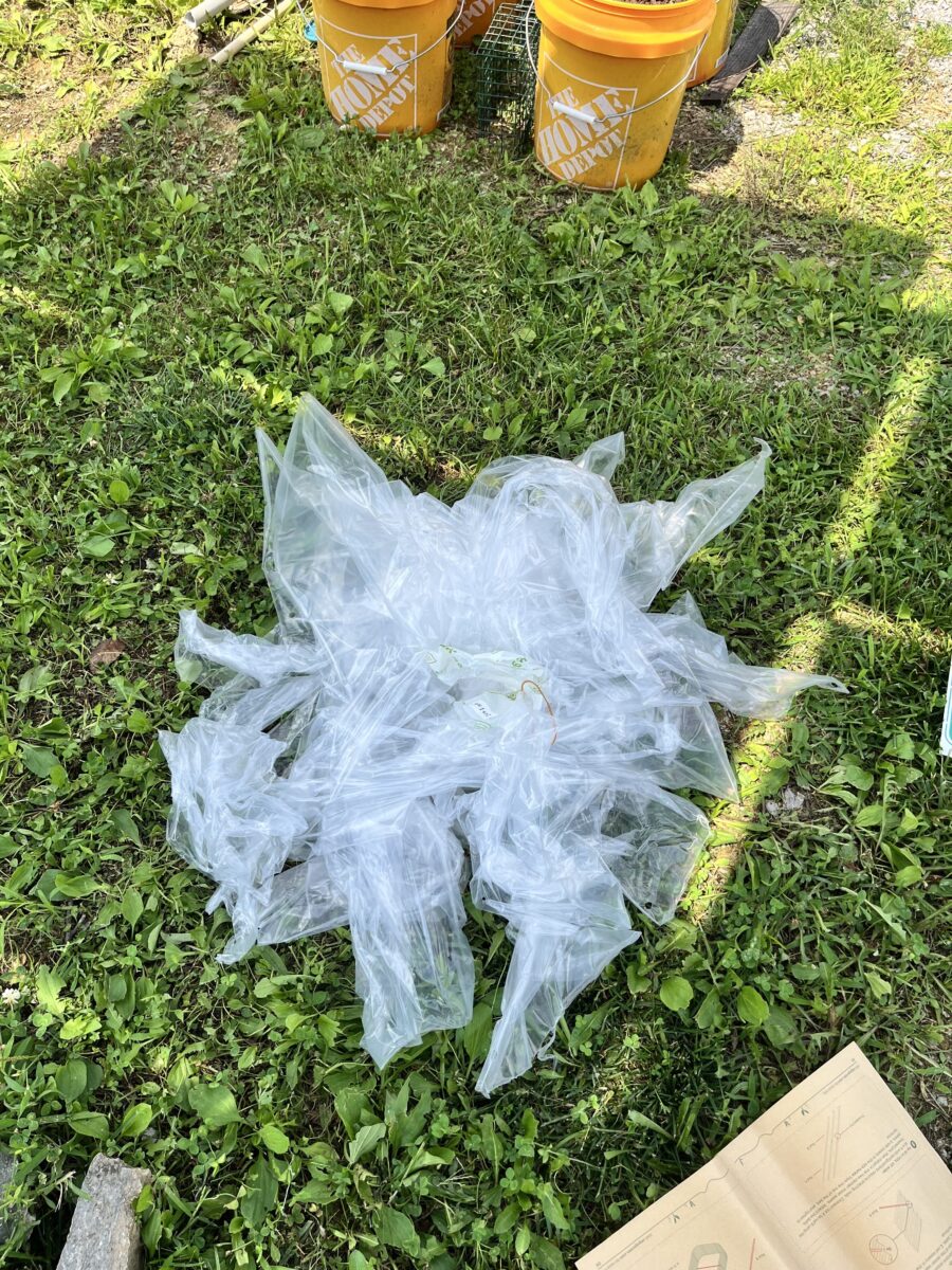 Plastic sheeting laying in the grass after peeling them off of the pieces of our new Vego garden bed