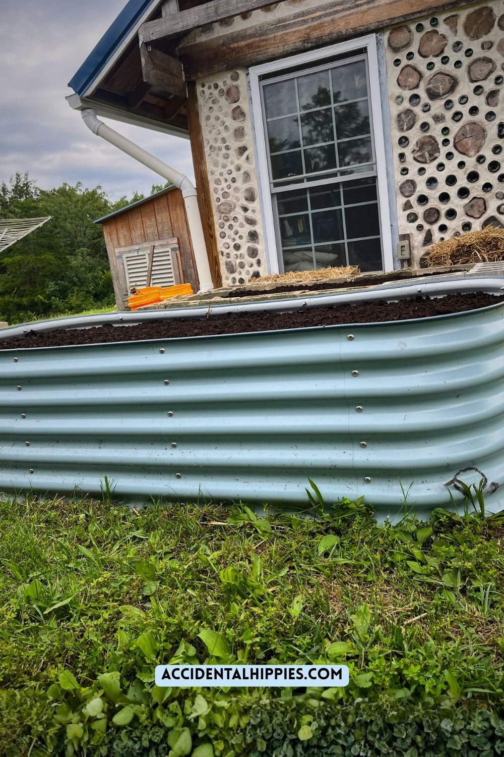 Sky blue metal Vego garden bed filled with soil in front of a small cordwood shed