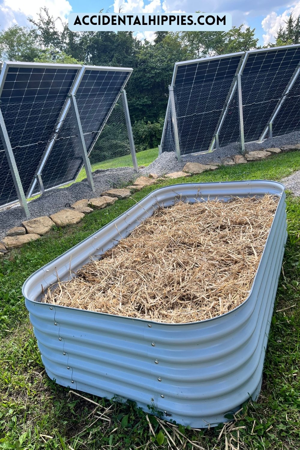 Blue metal raised garden bed from Vego partially filled, showing straw on top, with solar panels in the background