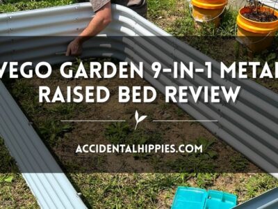 Vego Garden 9-in-1 Metal Raised Bed Review - AccidentalHippies